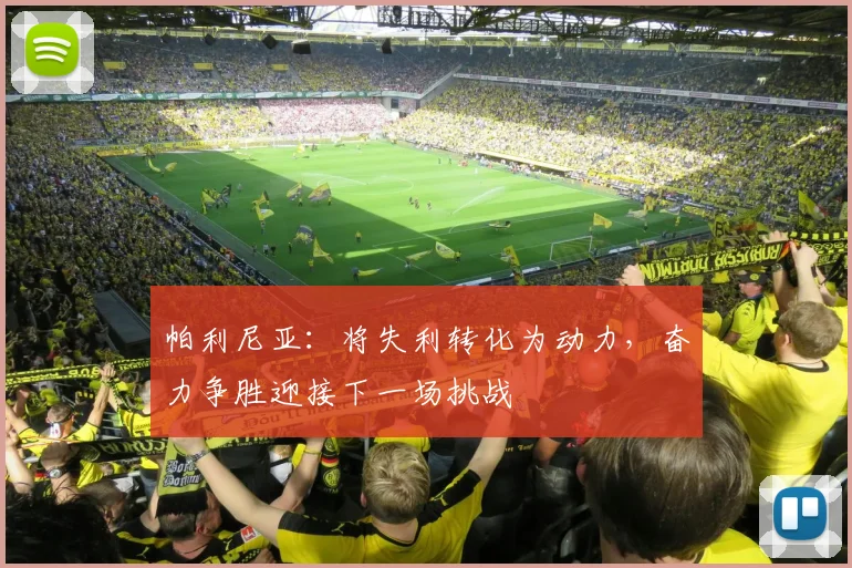 帕利尼亚：将失利转化为动力，奋力争胜迎接下一场挑战