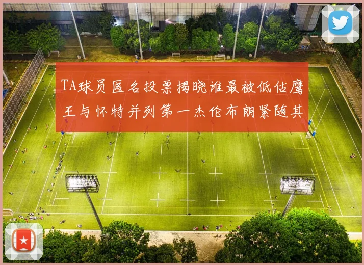 TA球员匿名投票揭晓谁最被低估鹰王与怀特并列第一杰伦布朗紧随其后